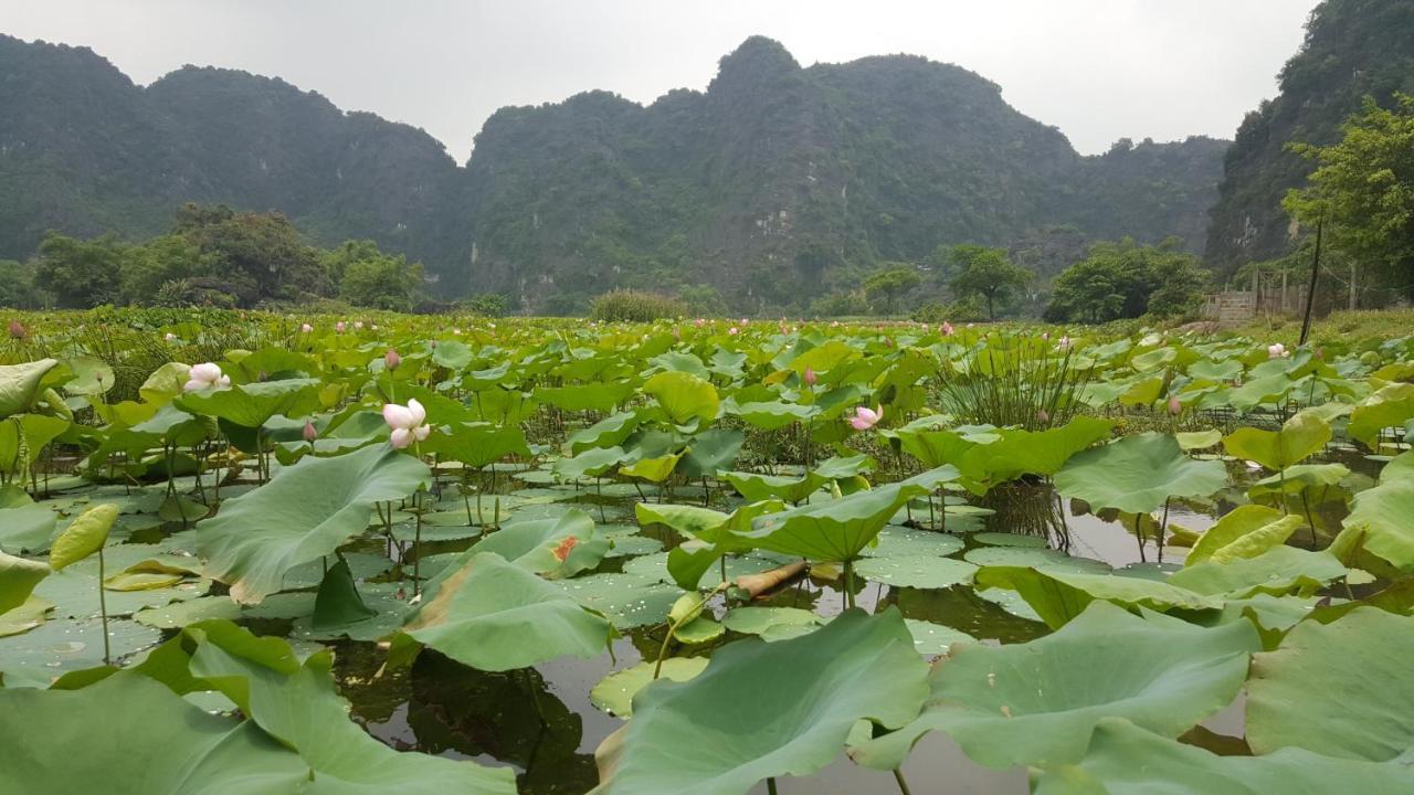 Hoalu Ecolodge Homestay Ninh Binh Buitenkant foto