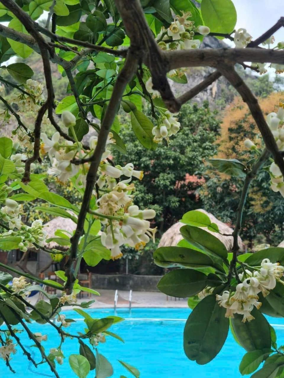 Hoalu Ecolodge Homestay Ninh Binh Buitenkant foto