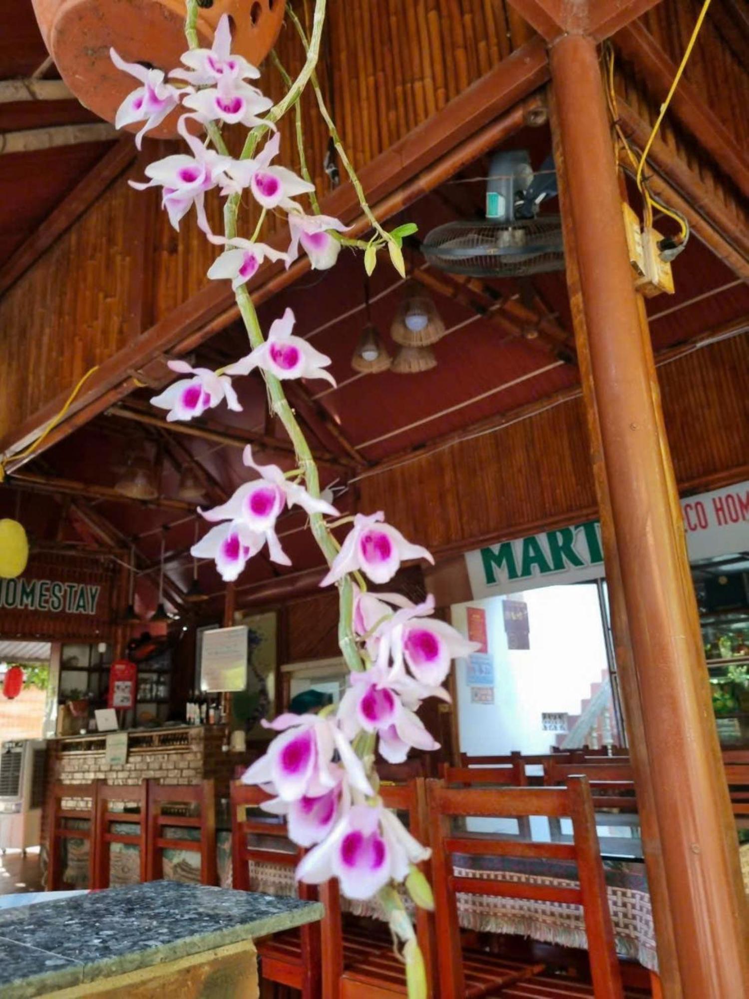 Hoalu Ecolodge Homestay Ninh Binh Buitenkant foto