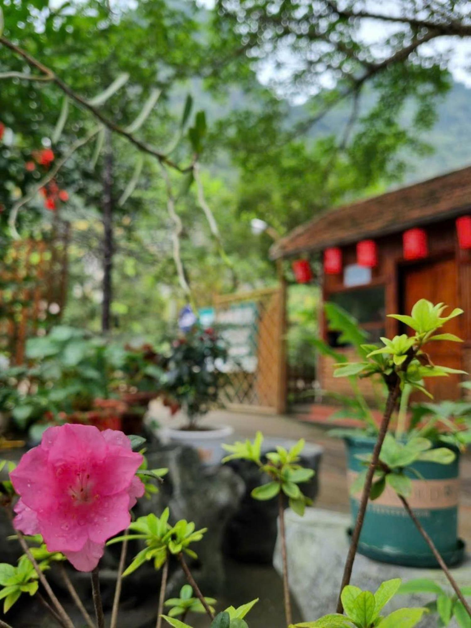 Hoalu Ecolodge Homestay Ninh Binh Buitenkant foto