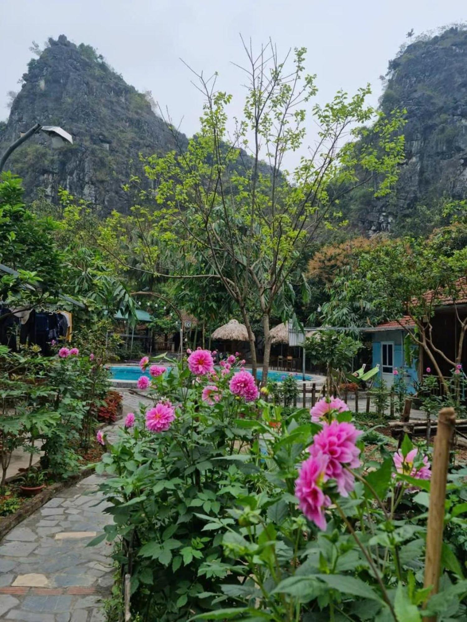 Hoalu Ecolodge Homestay Ninh Binh Buitenkant foto