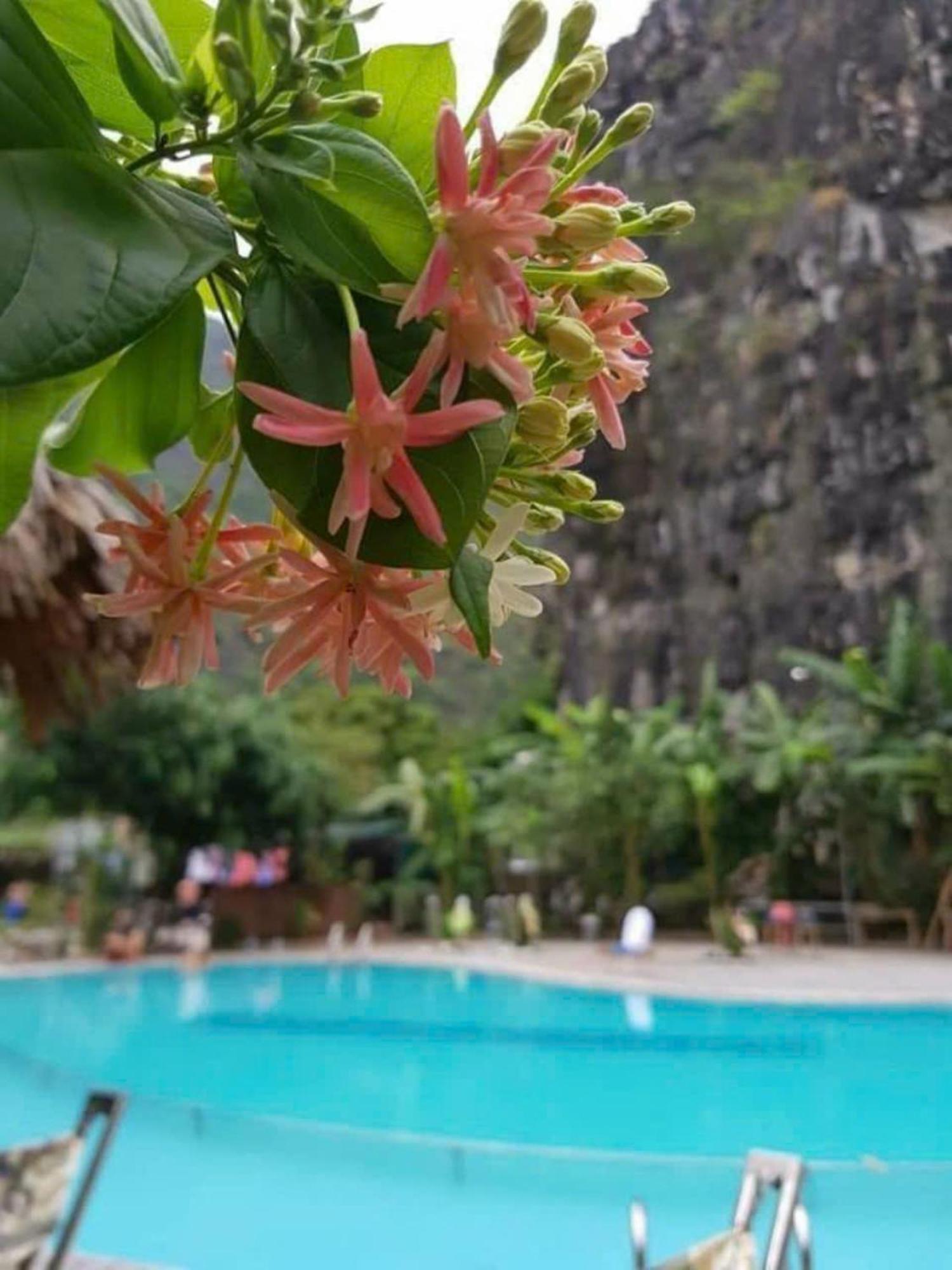 Hoalu Ecolodge Homestay Ninh Binh Buitenkant foto