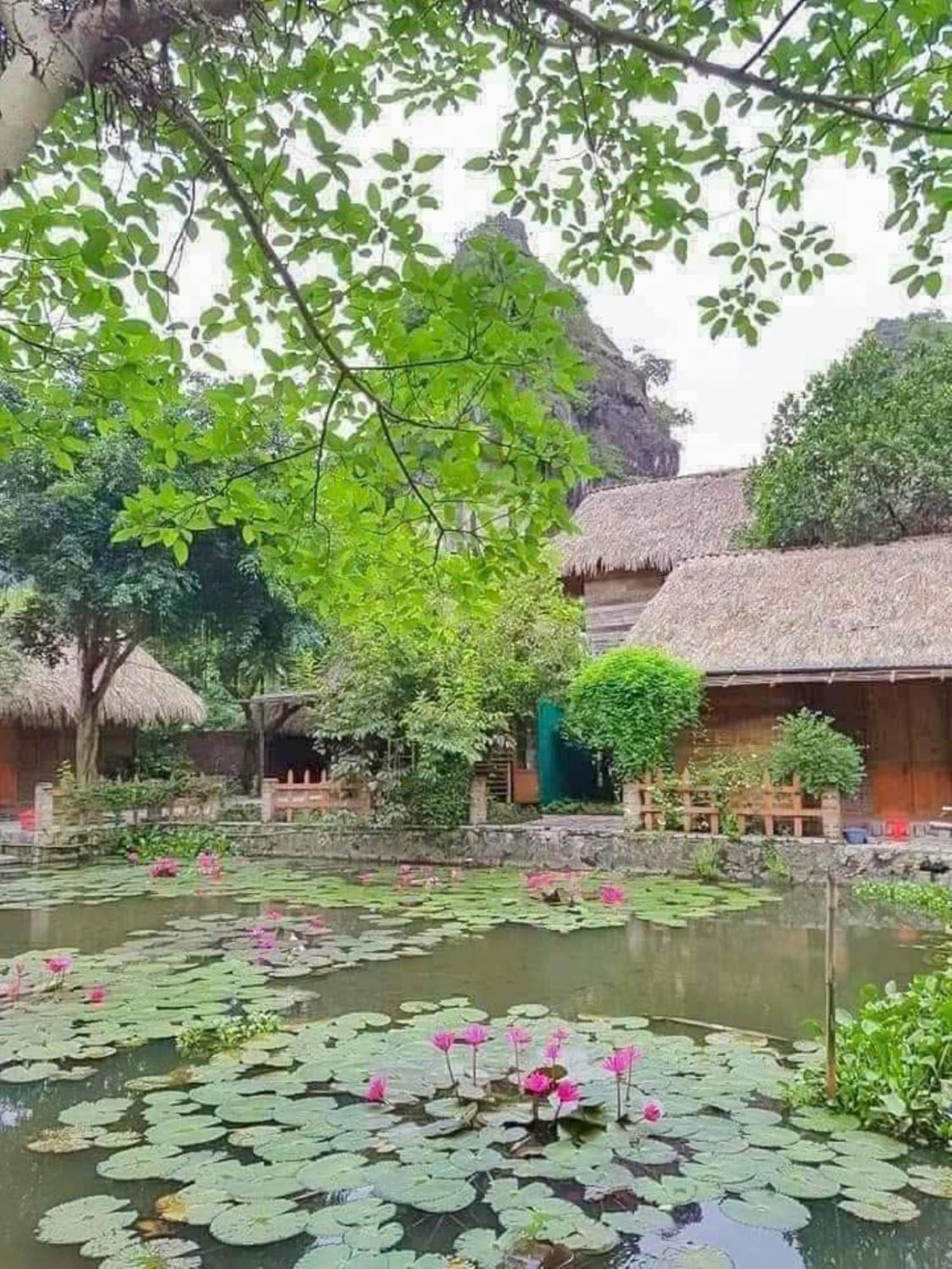 Hoalu Ecolodge Homestay Ninh Binh Buitenkant foto